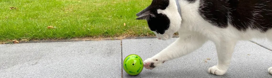 [paste advice page name here]